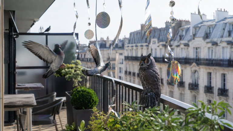 Effaroucheurs visuels contre les pigeons installés sur un balcon urbain avec rubans réfléchissants, disques brillants et faux hibou