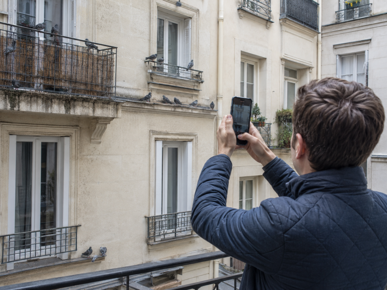 Résident photographiant des pigeons sur la façade d’un immeuble pour signaler des nuisances au syndic