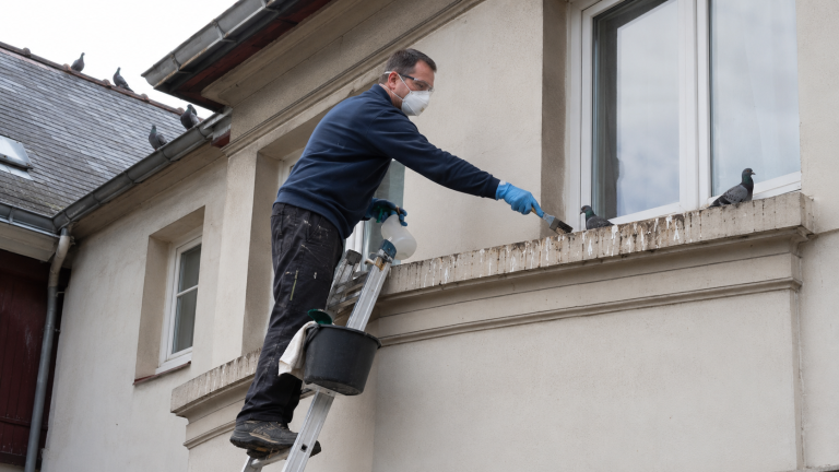 Homme équipé de gants et d’un masque nettoyant des fientes de pigeon sur une façade avec une échelle
