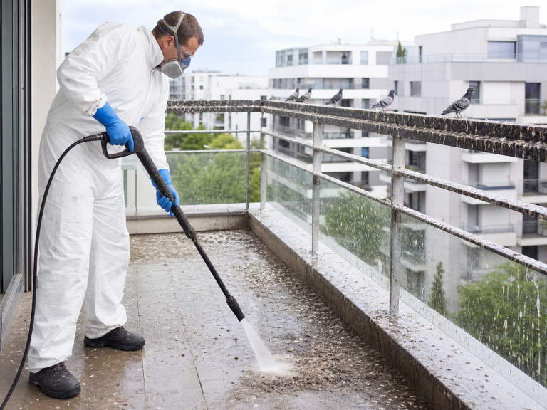 Professionnel équipé nettoyant des fientes de pigeon sur un balcon d’immeuble avec du matériel de désinfection