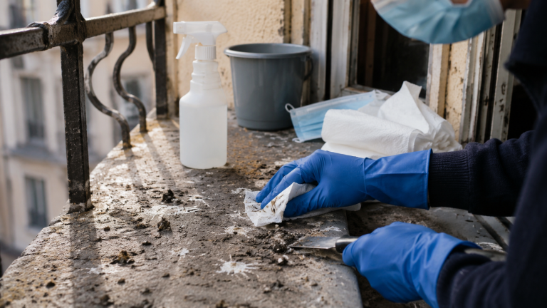 Nettoyage et désinfection de fientes de pigeon sur un balcon avec gants de protection et spray désinfectant