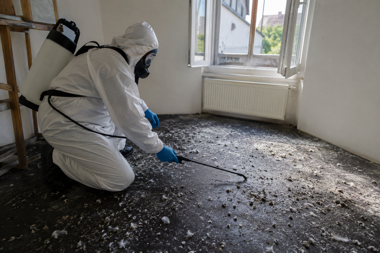 Professionnel en combinaison de protection désinfectant un logement contaminé par des fientes de pigeons