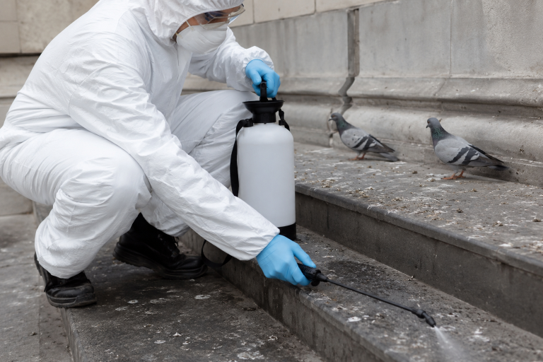 Technicien en combinaison de protection désinfectant des fientes de pigeon sur des marches en pierre