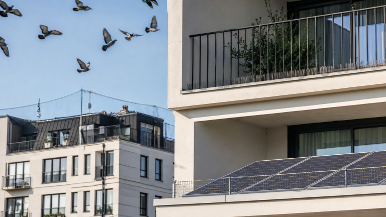 Méthodes anti-pigeons durables installées sur un bâtiment moderne avec pics, filets de protection et panneaux solaires protégés.