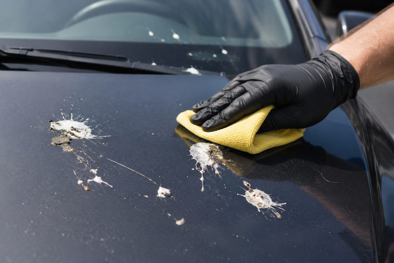 Nettoyage professionnel de fientes d’oiseaux incrustées sur une carrosserie avec gant de protection et chiffon microfibre