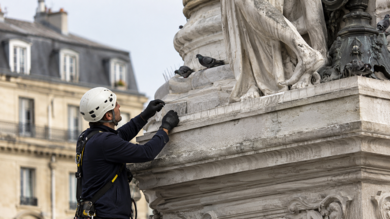 Technicien installant un dispositif anti-pigeon sur un monument historique pour le protéger des fientes