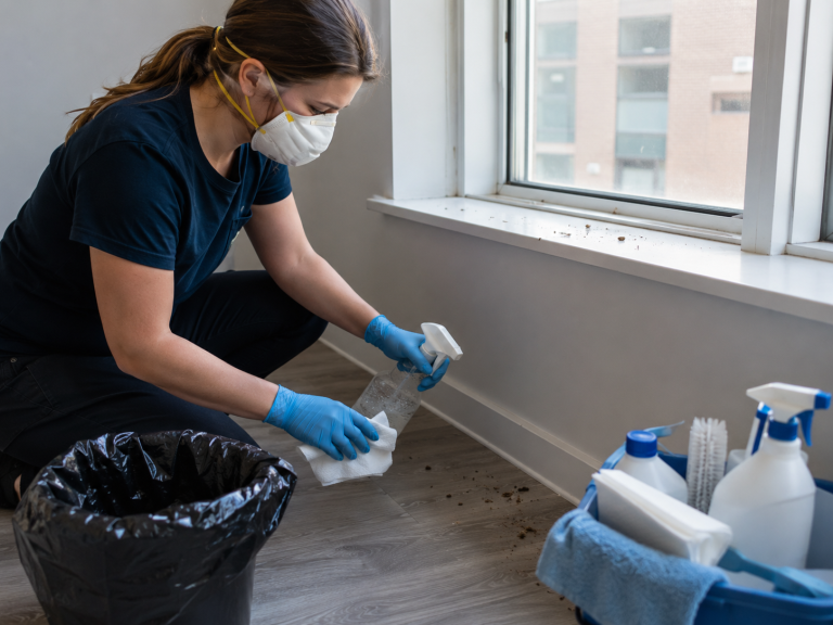 Personne équipée de gants et d’un masque nettoyant des fientes de pigeon dans une pièce intérieure près d’une fenêtre