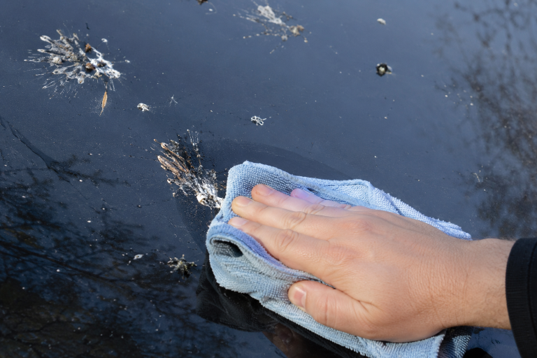 Main nettoyant des fientes d’oiseaux sur une surface non poreuse avec un chiffon microfibre