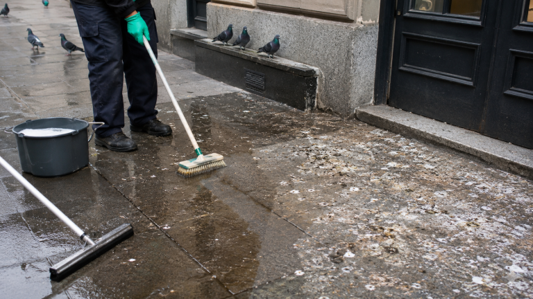 Personne nettoyant un trottoir couvert de fientes de pigeon avec une brosse, un seau d’eau savonneuse et une raclette devant un immeuble urbains